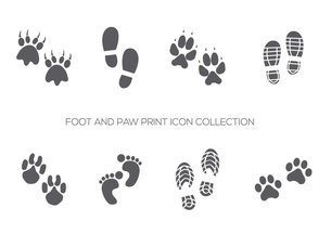 Foot and Paw Prints Icon Collection